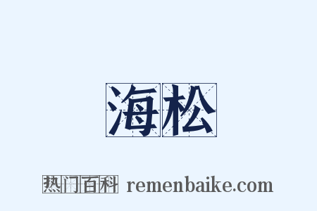 海松是什么意思的图片